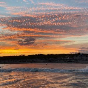 Meet your Posher, Abigail